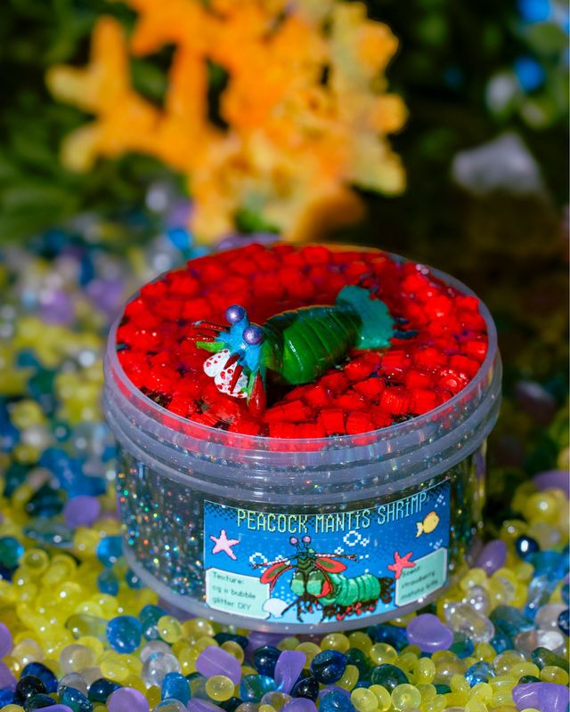 Peacock Mantis Shrimp