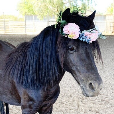 Floral Crowns