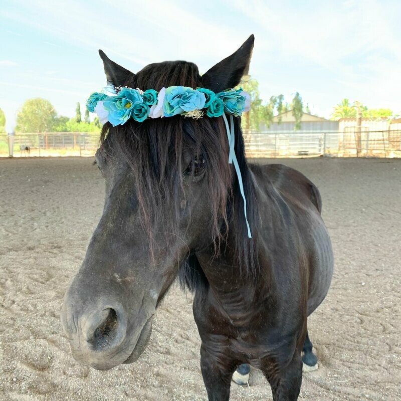 Blue Floral Crown