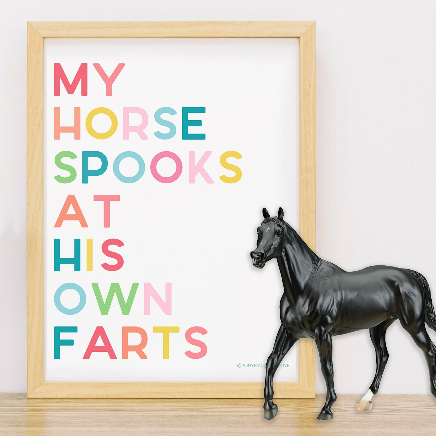 My Horse Spooks at his own Farts Digital Download 8x10 print