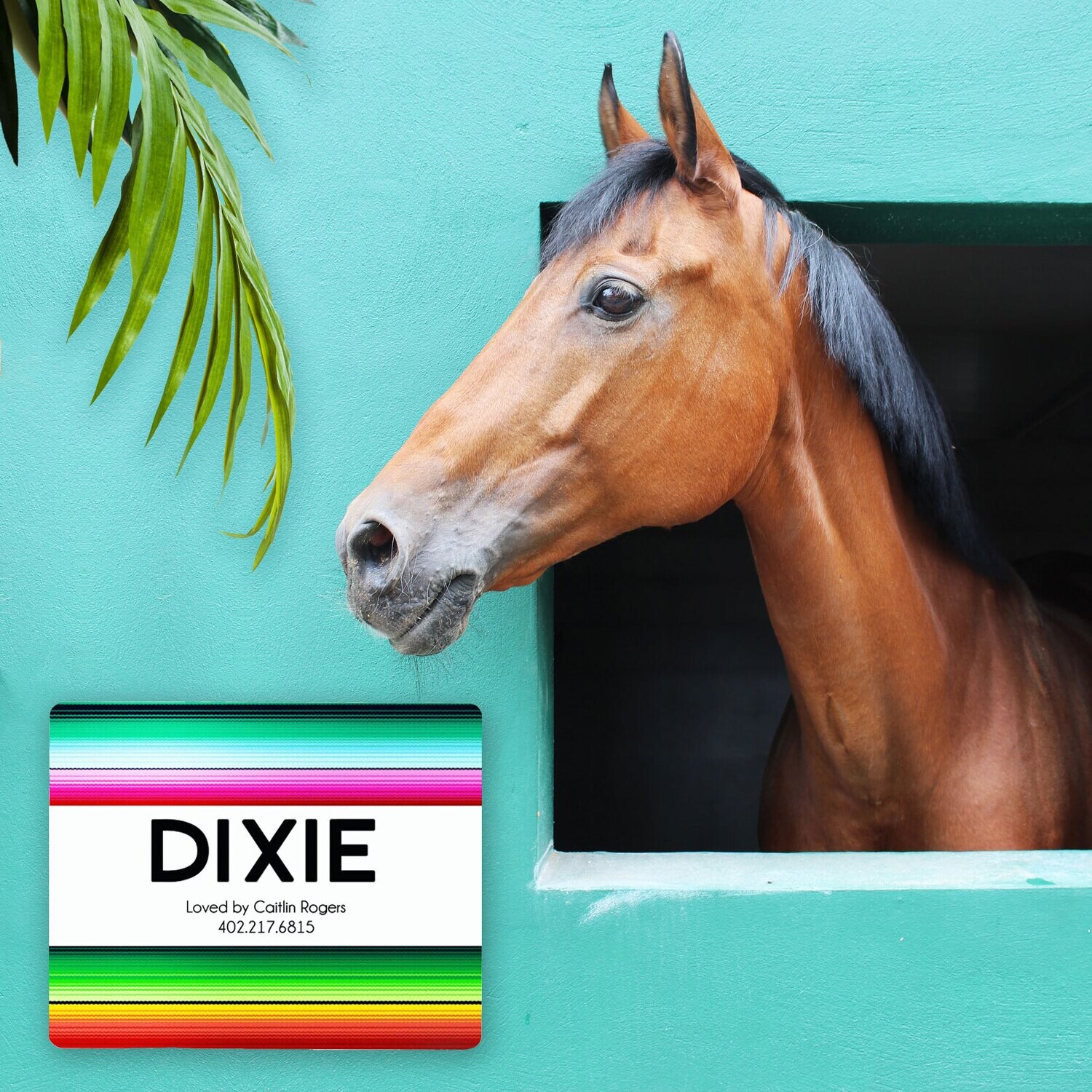 Custom Serape Dos Stall Name Plate