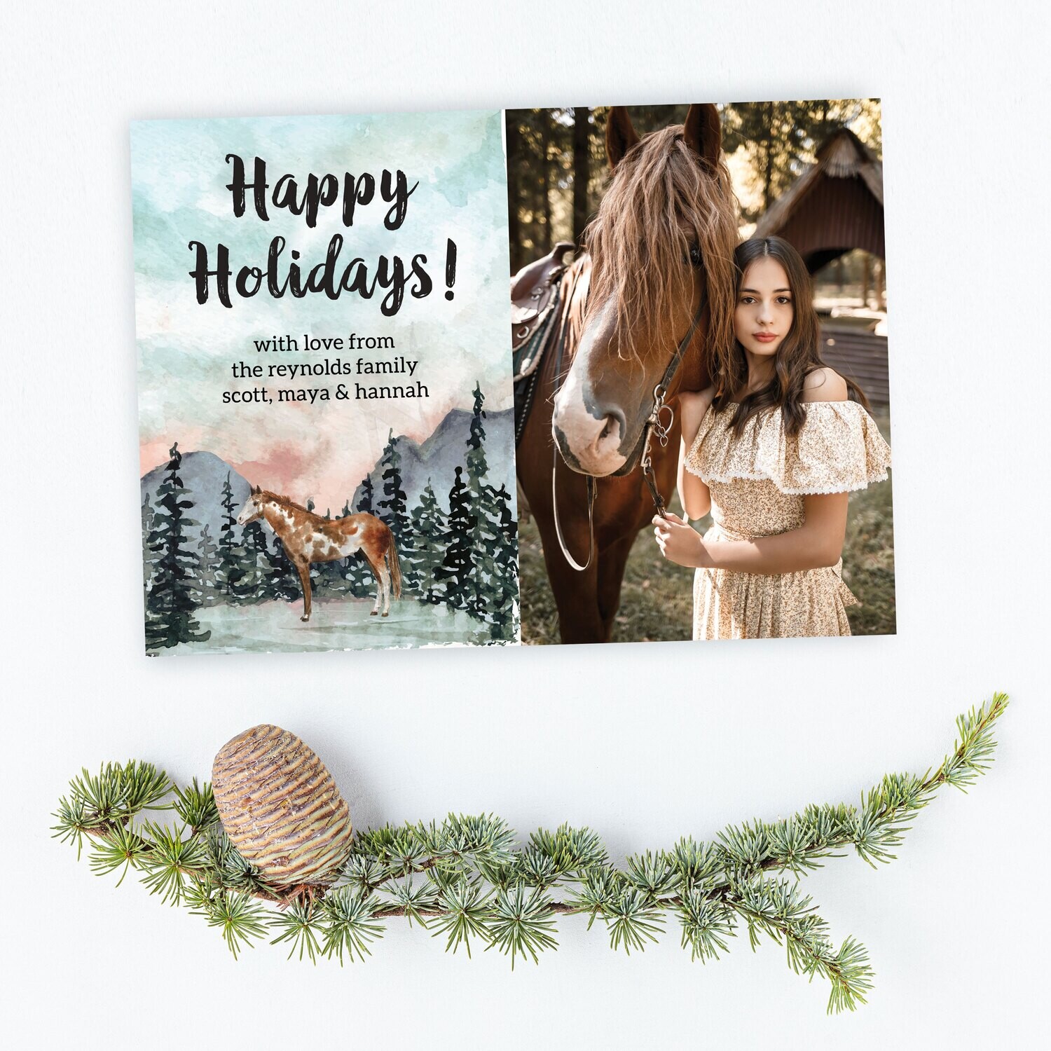 Mountain Equestrian Photo Holiday Cards