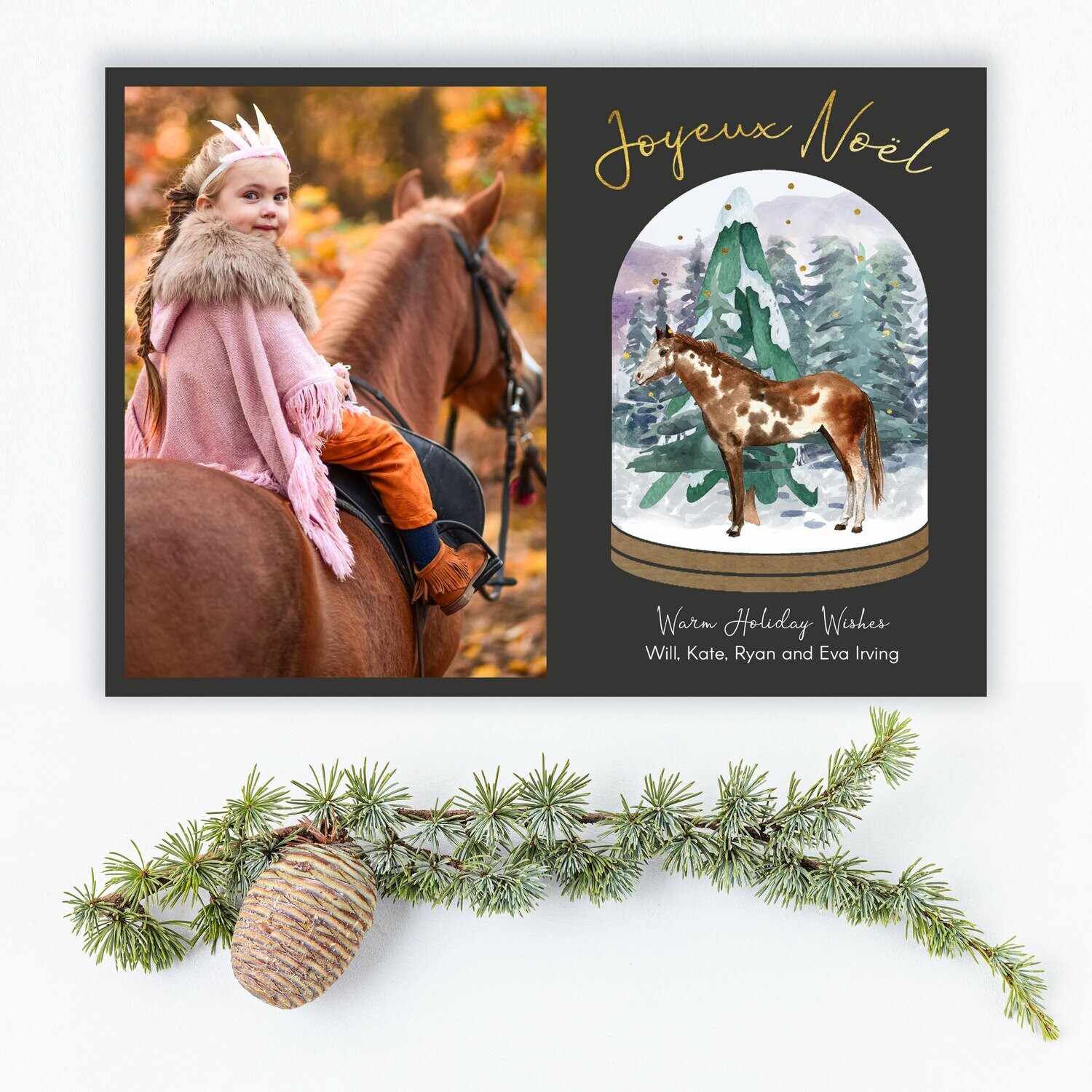 Horse in a Snow Globe Photo Holiday Cards