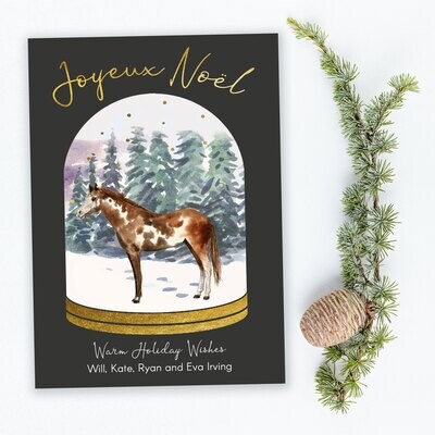 Watercolor Horse in a Snow Globe Holiday Cards