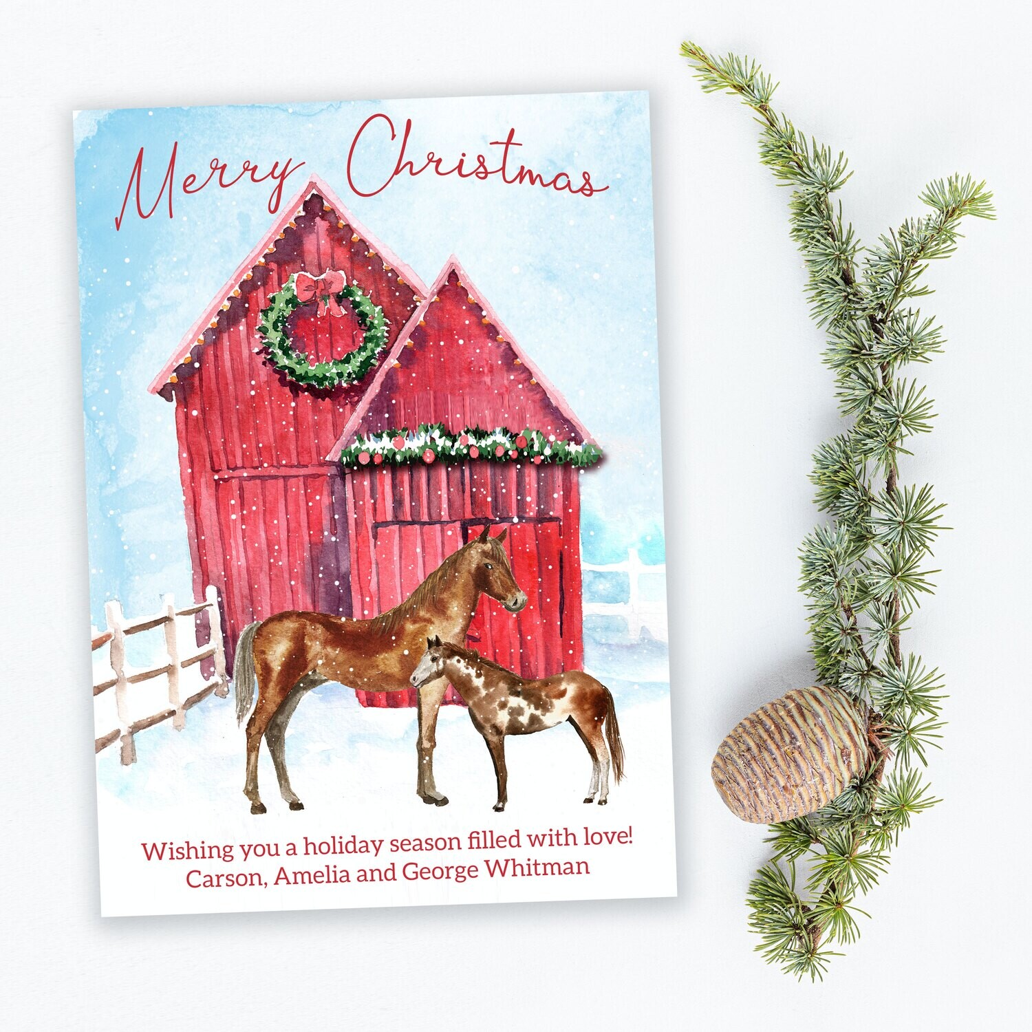 Mare and Foal Winter Holiday Cards