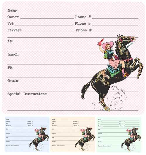 Full Color Cowgirl Stall Sign