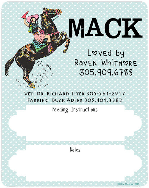 Custom Cowgirl Horse Stall Sign