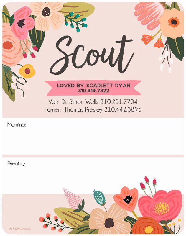 Custom Pink Garden Floral Stall Sign