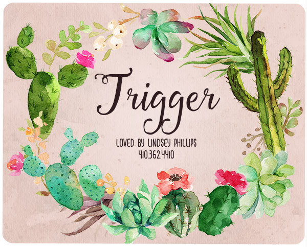 Custom Peach Cactus Wreath Stall Name Plate