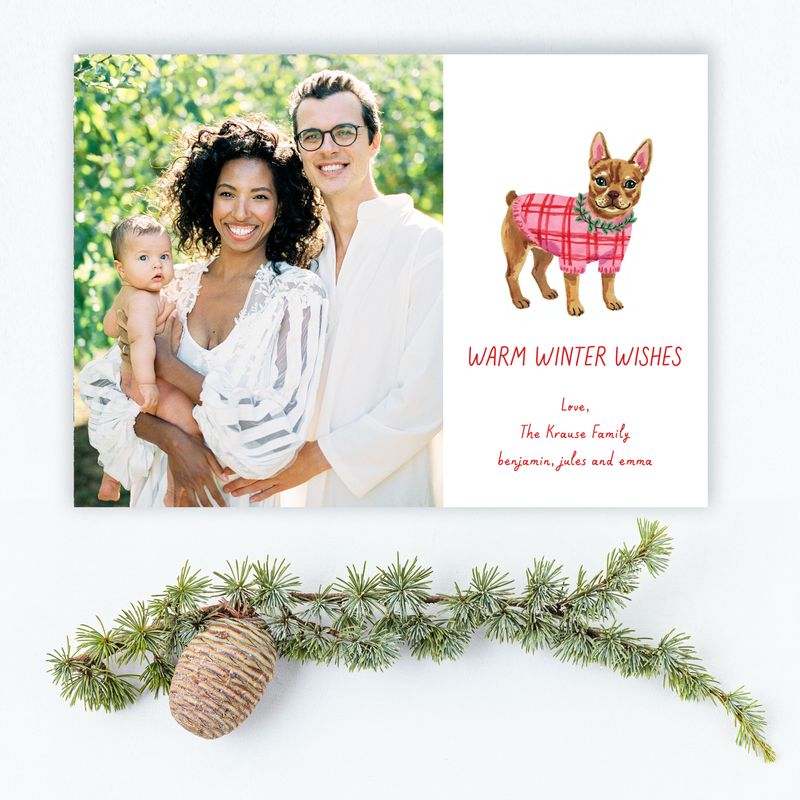 French Bulldog dog Christmas Photo Holiday Cards