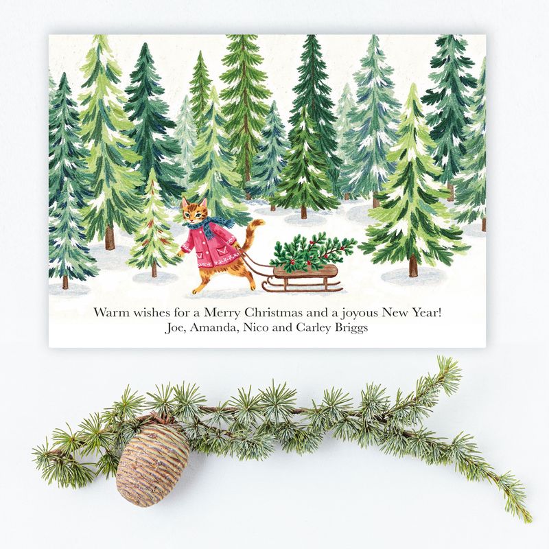 Cat in Snow with Sled Flat Holiday Cards