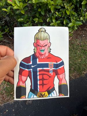 Haaland buu sticker