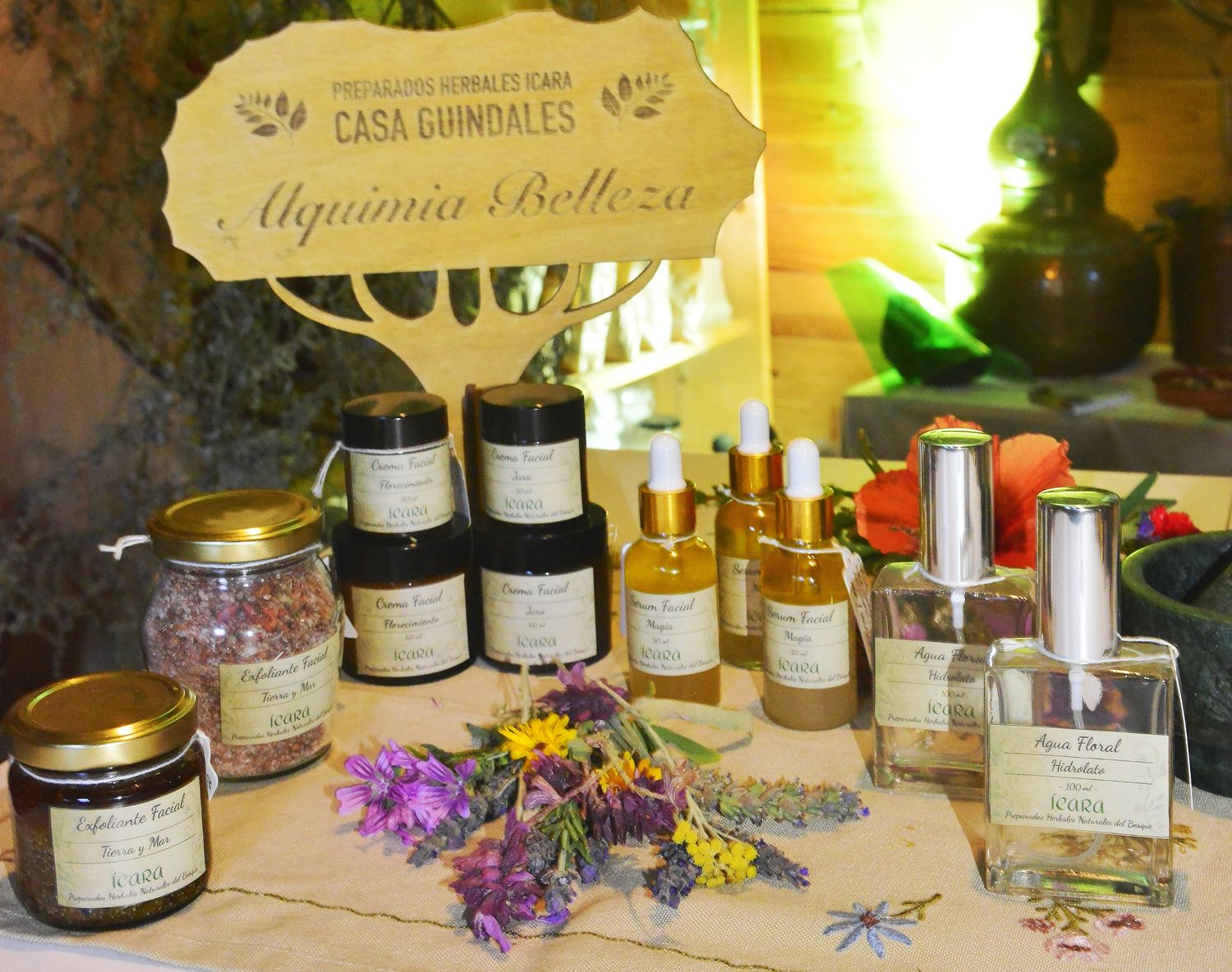 Taller Online de Cosmética Natural con Plantas