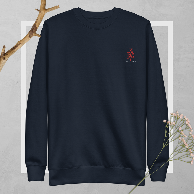 RV3G HOODIE / SWEATSHIRT (small logo)