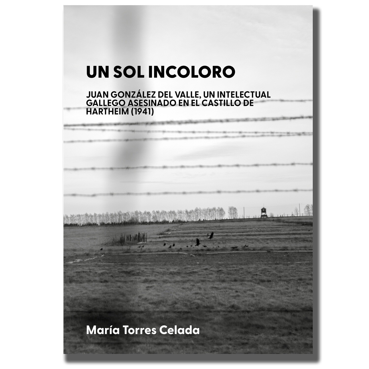 Un sol incoloro Un sol incoloro