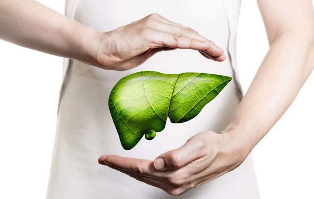 Das NEUE OrganGym LeberTraining