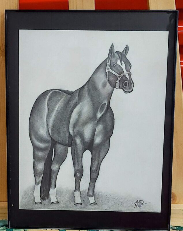 Stallionaire by Marcos