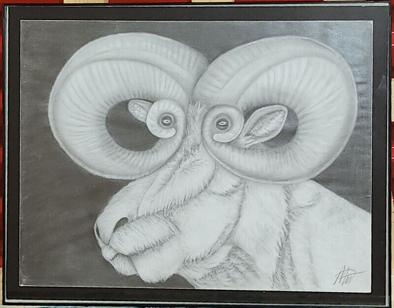 Ram-See by Marcos