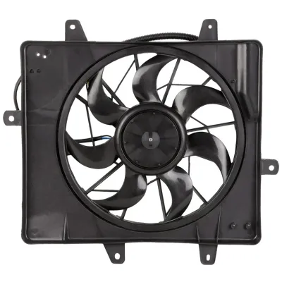 Fan