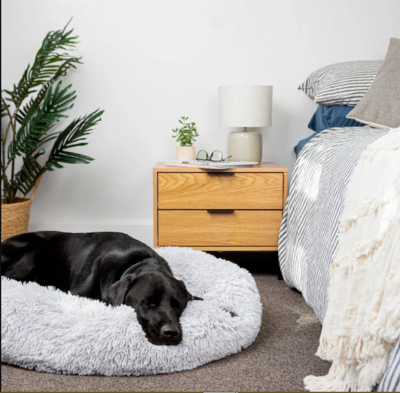 Calming Donut dog Bed, Cute Bed Dog, Pet Supplies, Pet Furniture