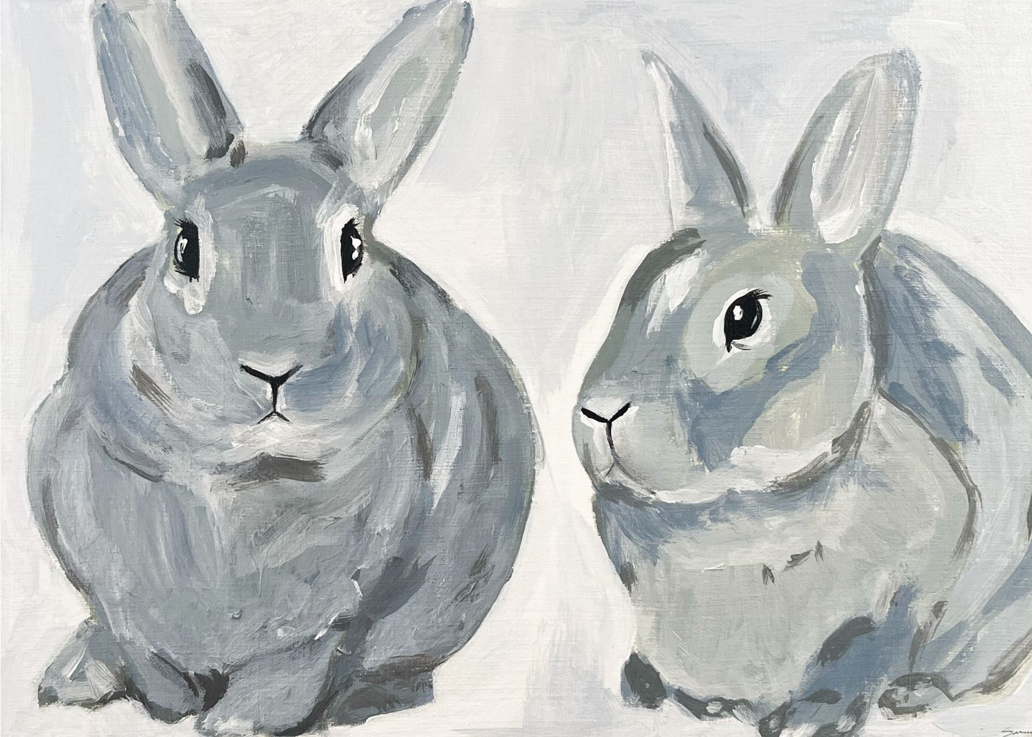 Bunnies without Border