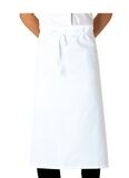 Regular Apron