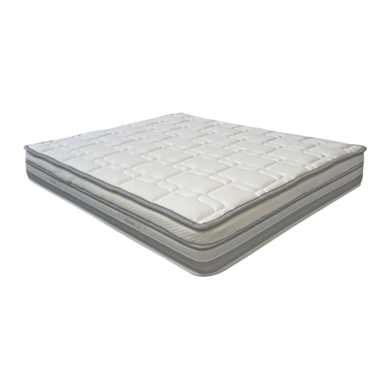 Dorelan Materasso Matrimoniale Gryphon Molle LFK 160x200x31cm Dorelan Materasso Matrimoniale Gryphon Molle LFK 160x200x31cm