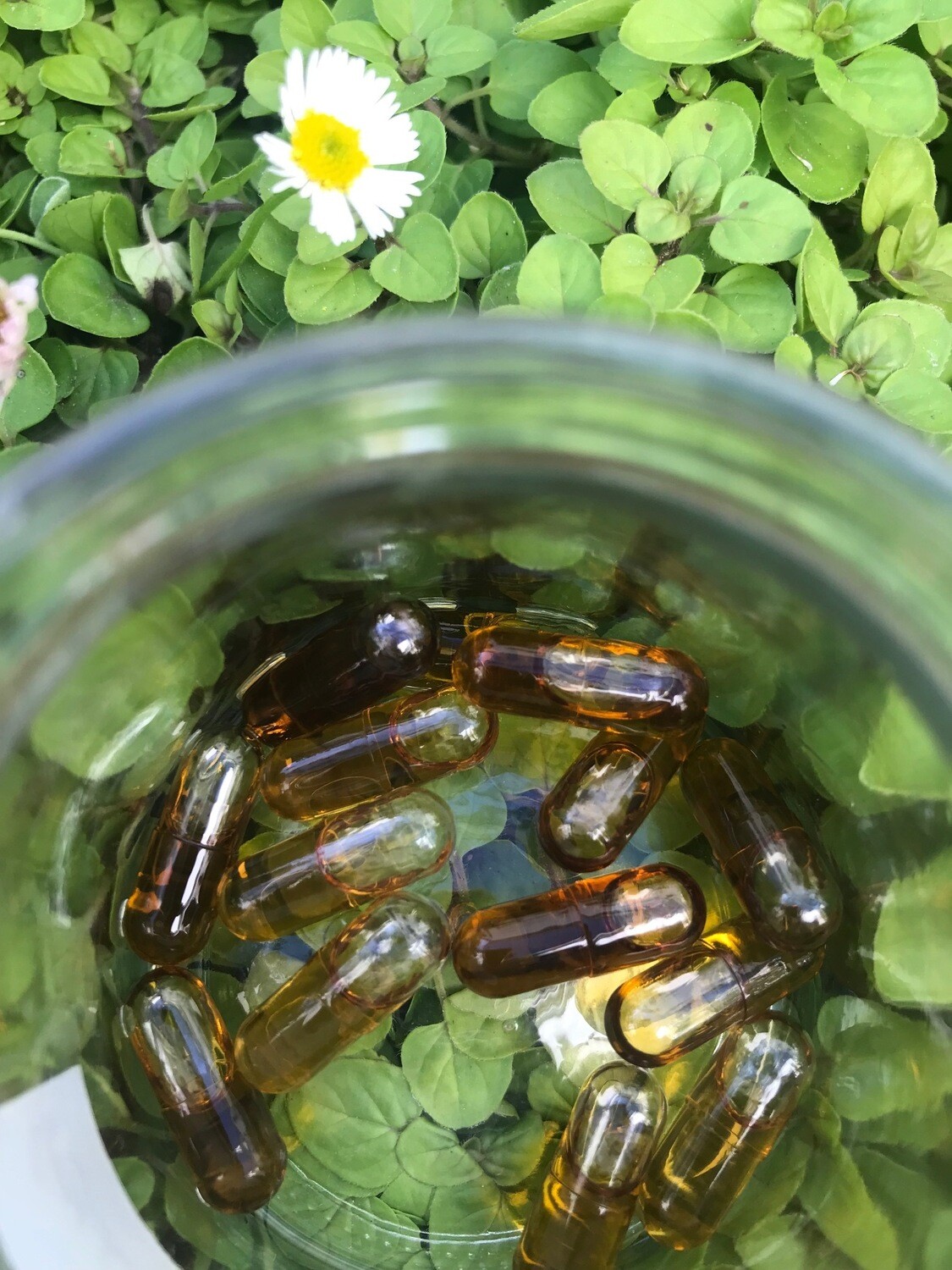 FECO Capsules (1) PAIN  (30 capsules)