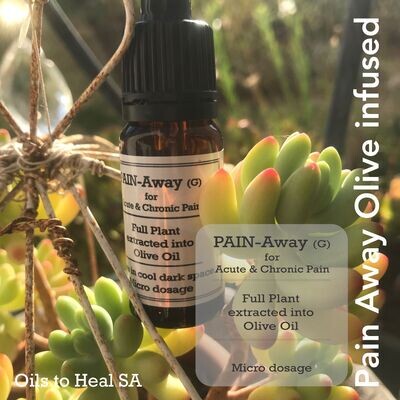 Pain Away Olive Oil Infused 10ml