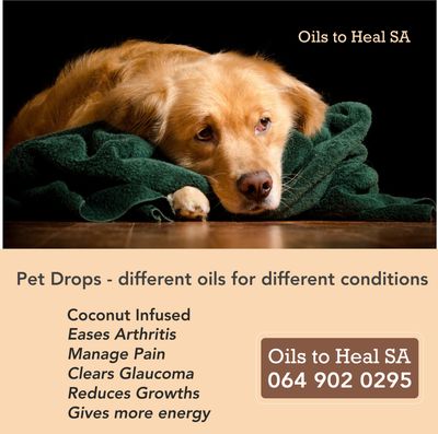 PET Coconut Infused Drops