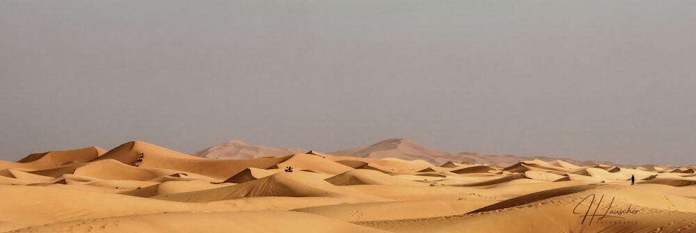 Sahara, 60 x 20 cm Panoramaformat