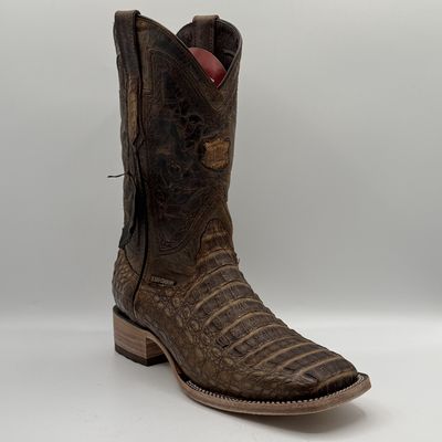 Caiman Musgo Square Toe