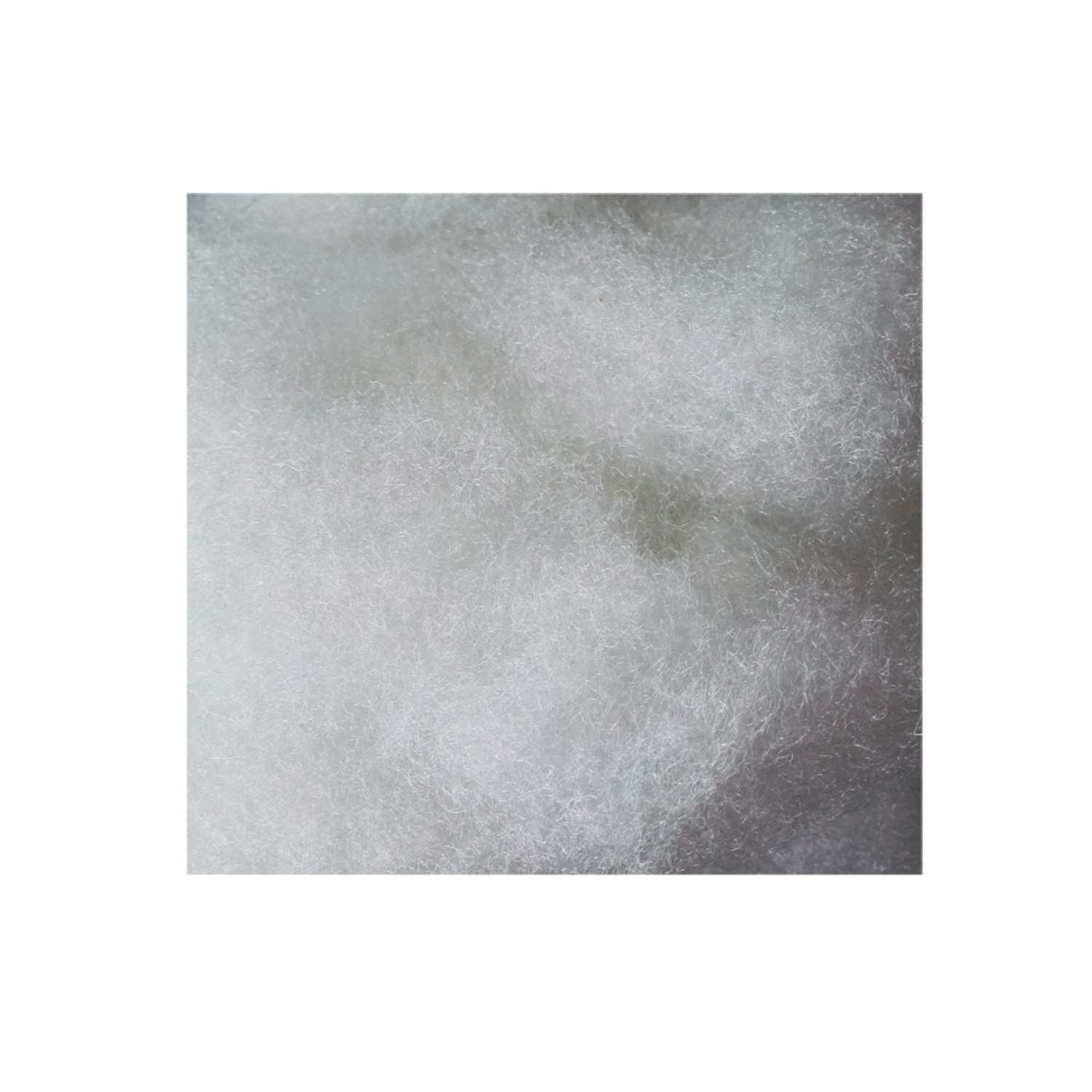 Filter Wool (2.5g)
