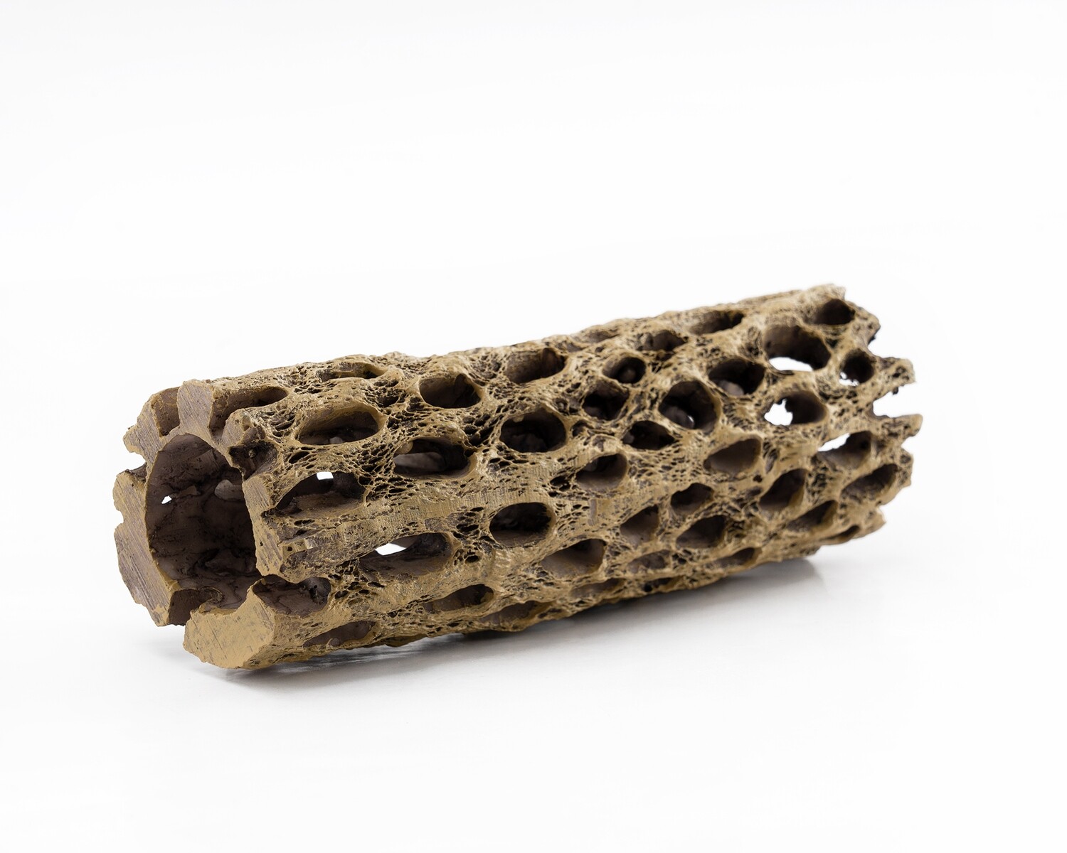 NatureBoys African Cholla Wood (20-35g)