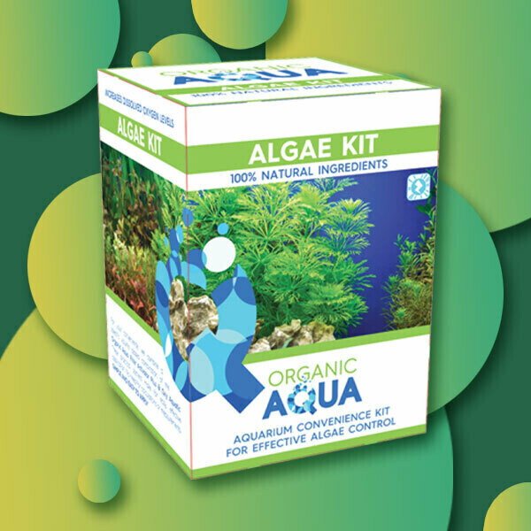 Algae Kit