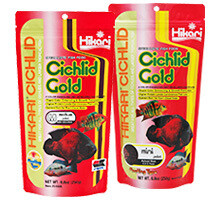 Hikari Cichlid Gold