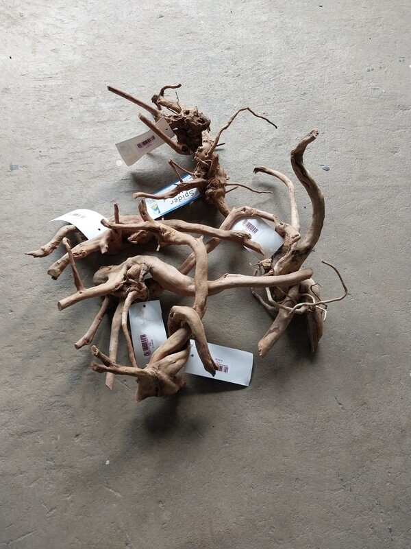 Spider wood 20-40cm
