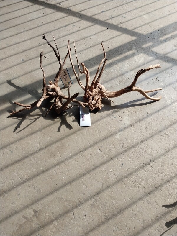 Spider wood 40-60cm