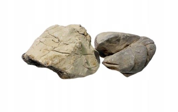 Shell Vein Rock-Grey