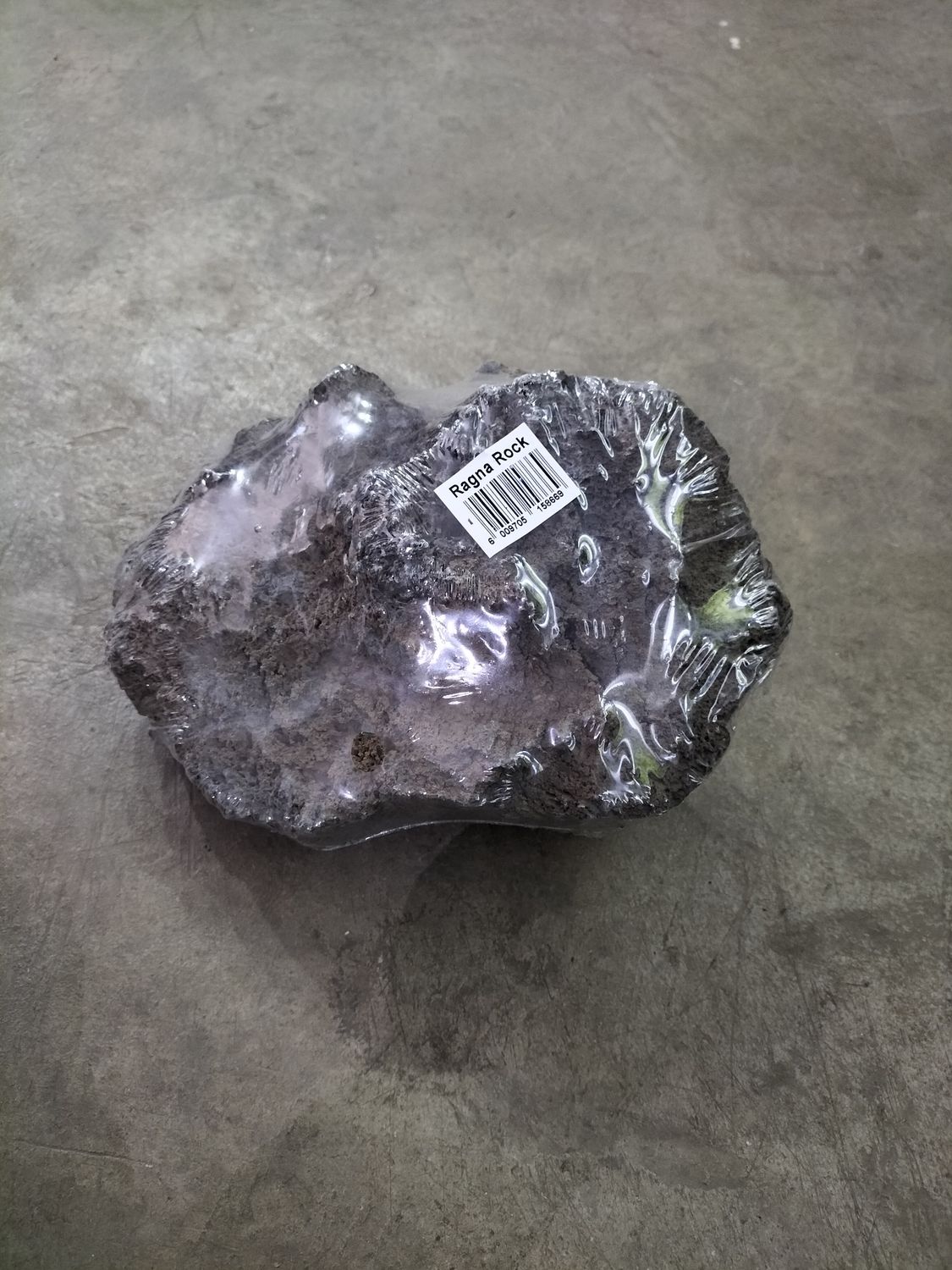 Ragna Rock, Size: 1. 2008g