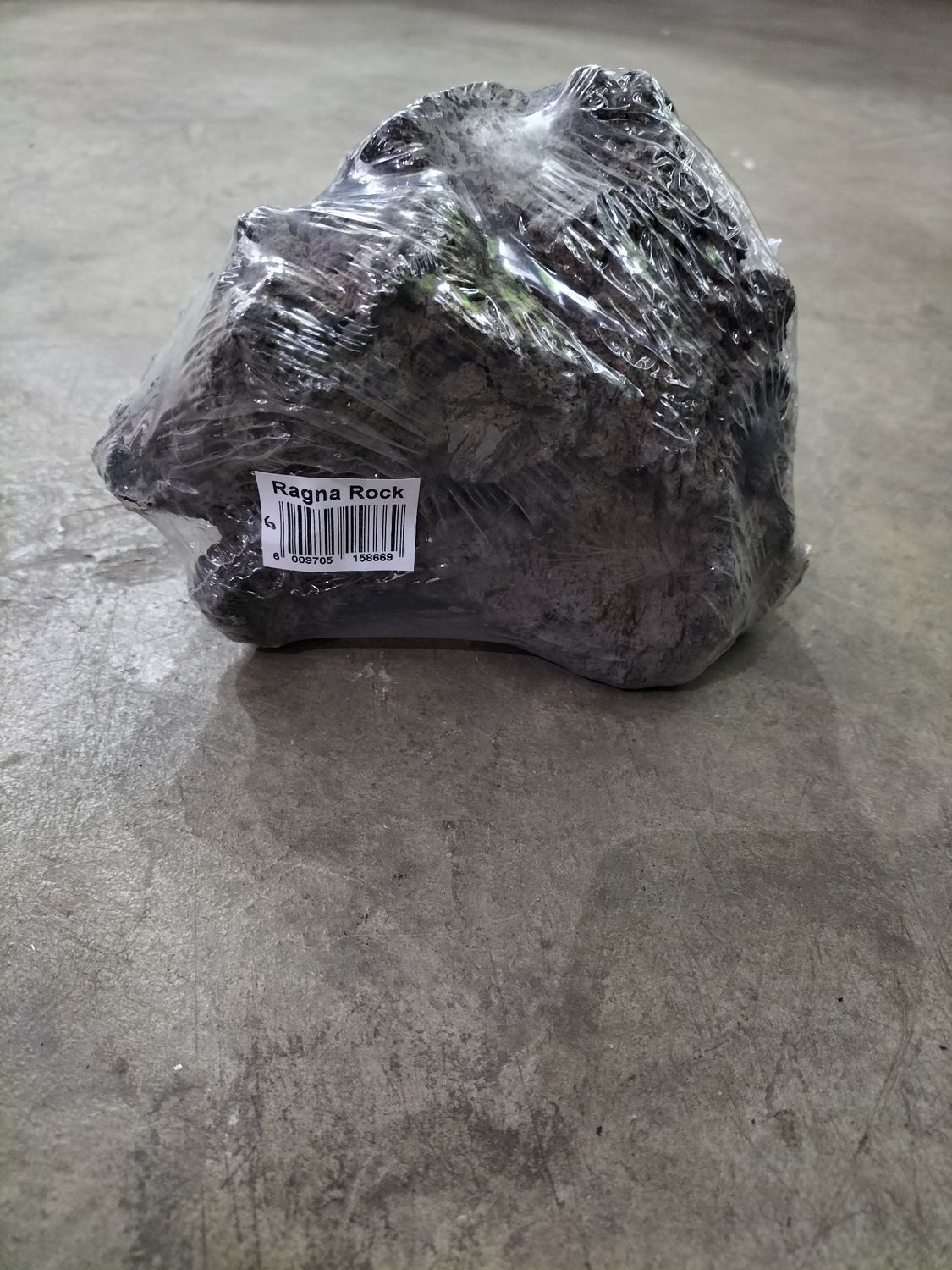 Ragna Rock, Size: 6. 1600g