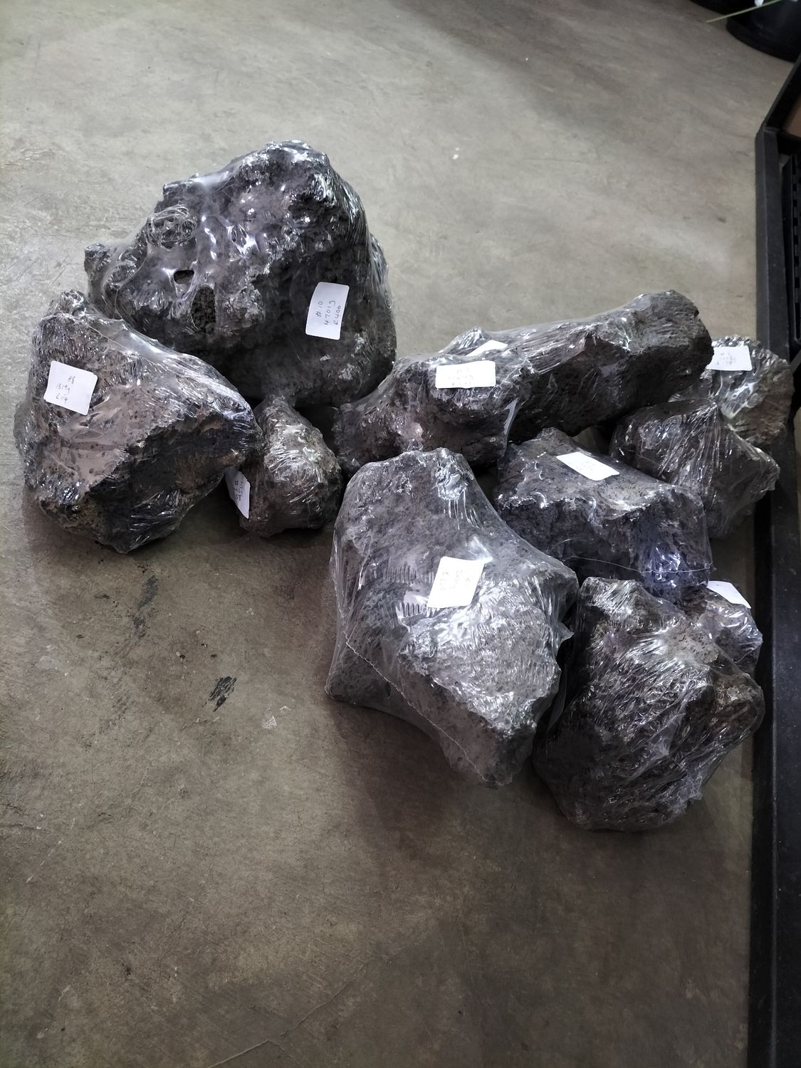 Ragna Rock