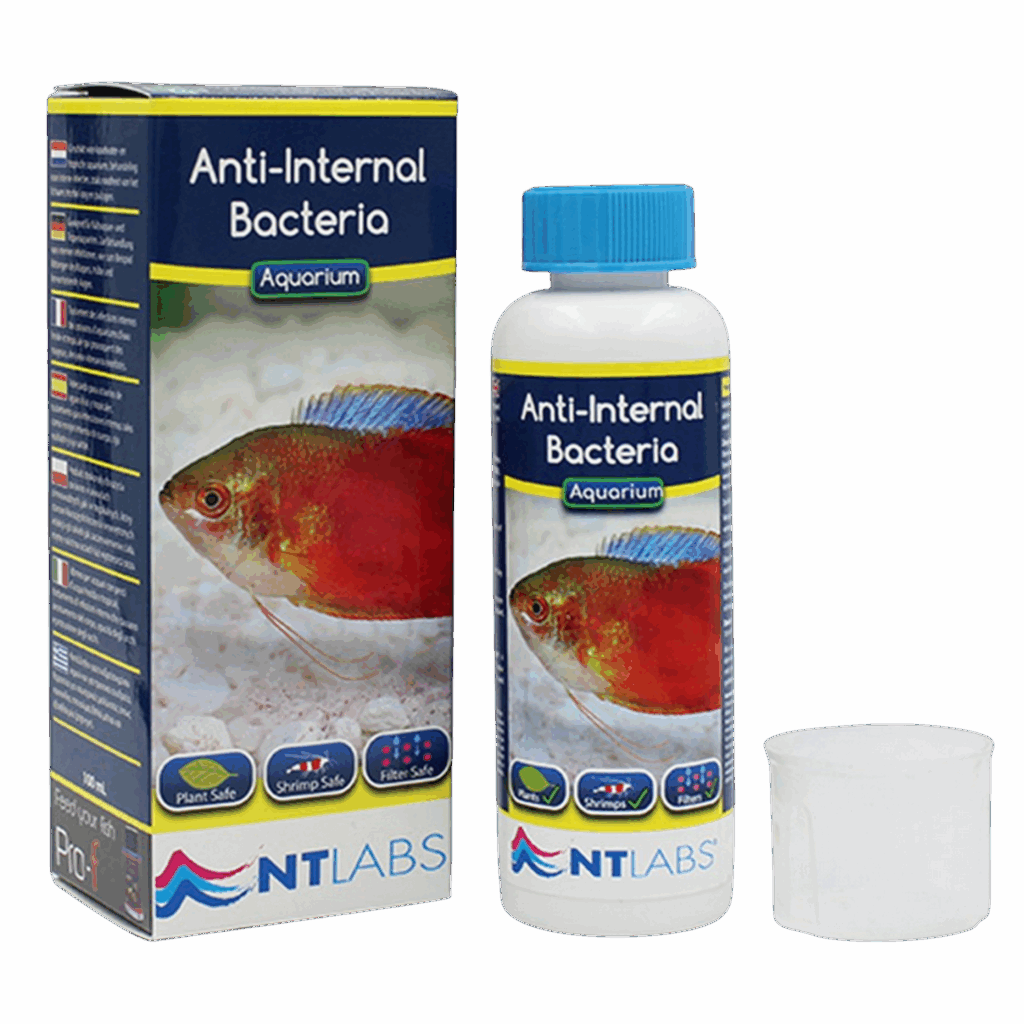 Anti-Internal Bacteria (100ml)