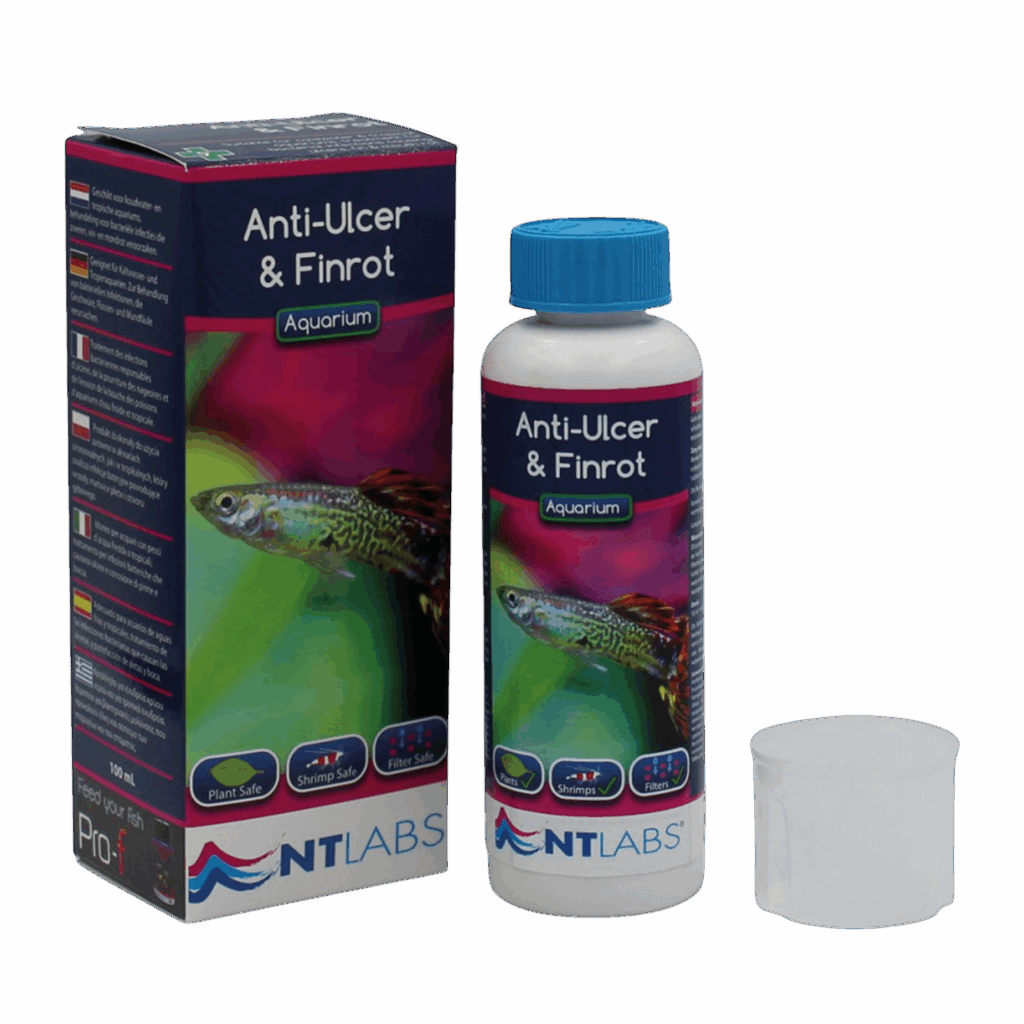 Anti-Ulcer &amp; Finrot (100ml)