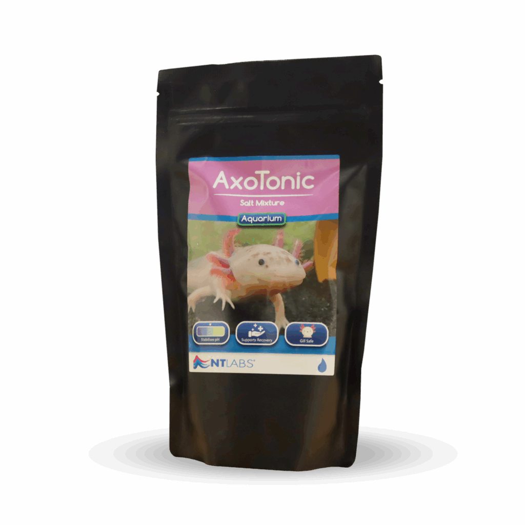 AxoTonic (500g)