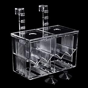 Fish isolation and breeding box (17.5x10x13.5cm)