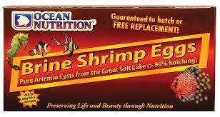 Ocean Nutrition Brine Shrimp Eggs