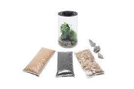 Bio Bowl - Cylinder Terrarium Kit
