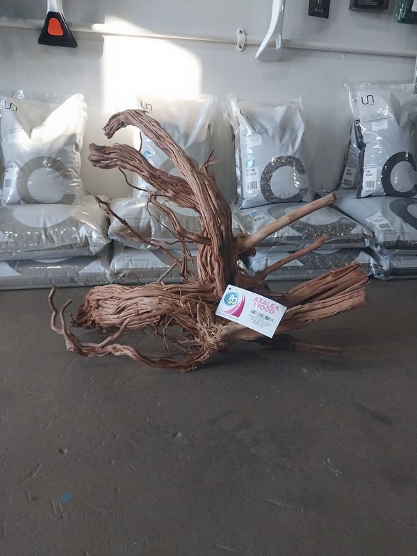 Azalea Wood-S Shape