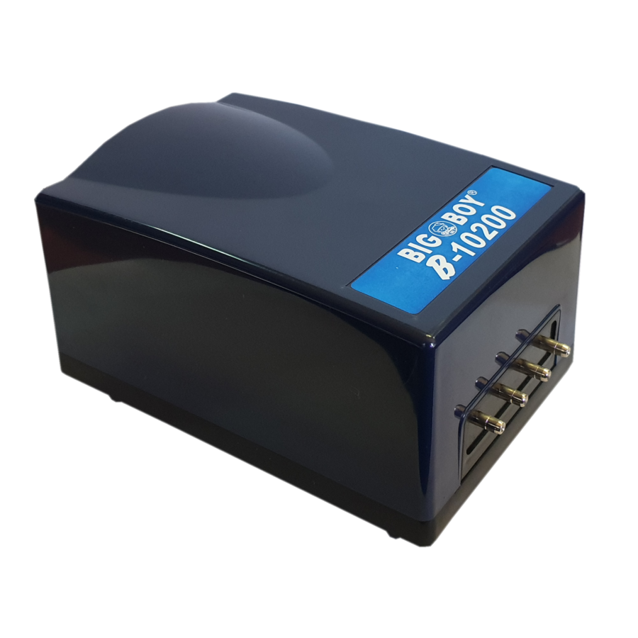 Big Boy 4 Outlet Air Pump
